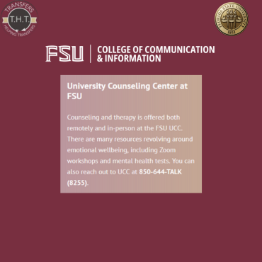 FSU Career Center drop-in IT/ICT